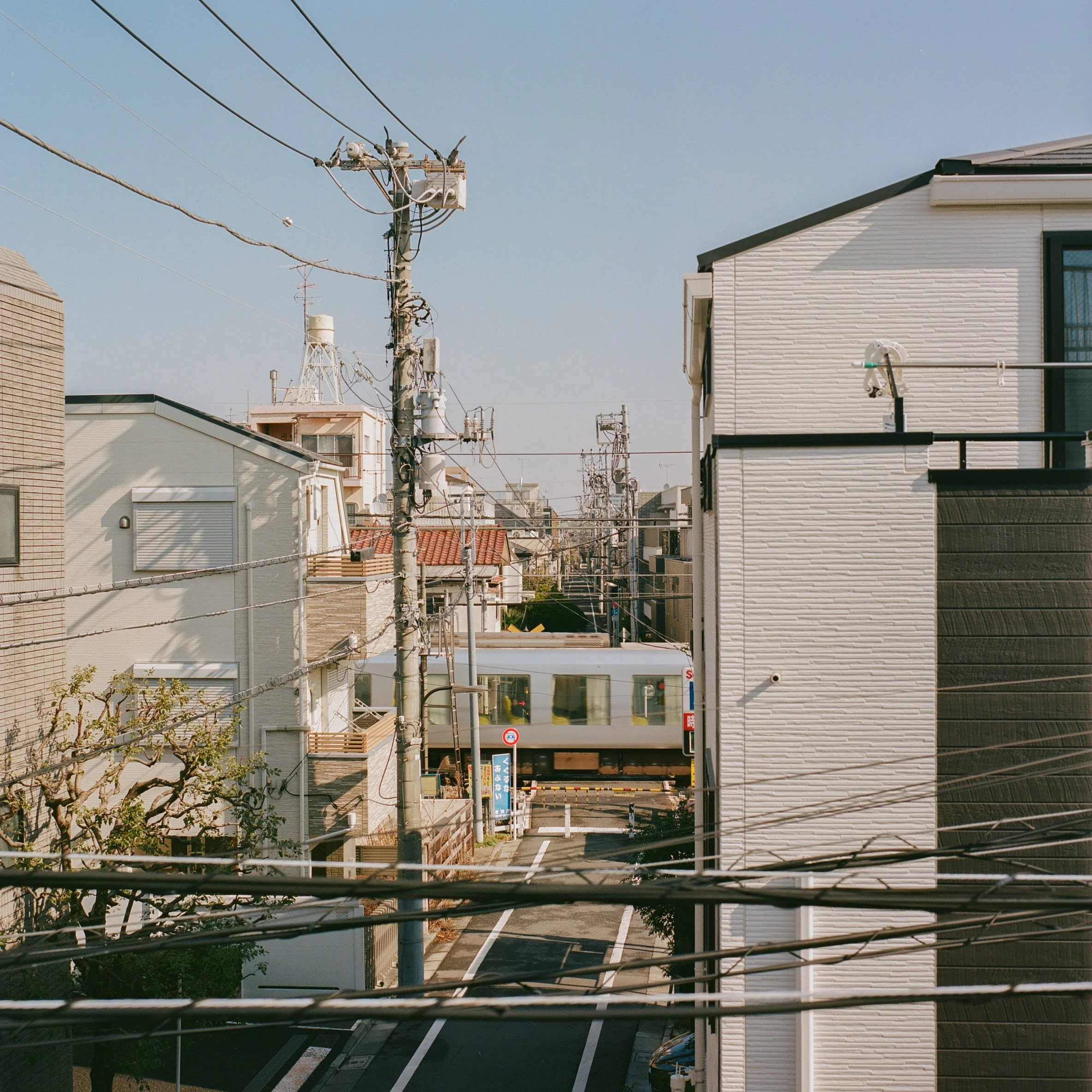 Japan-5.jpg