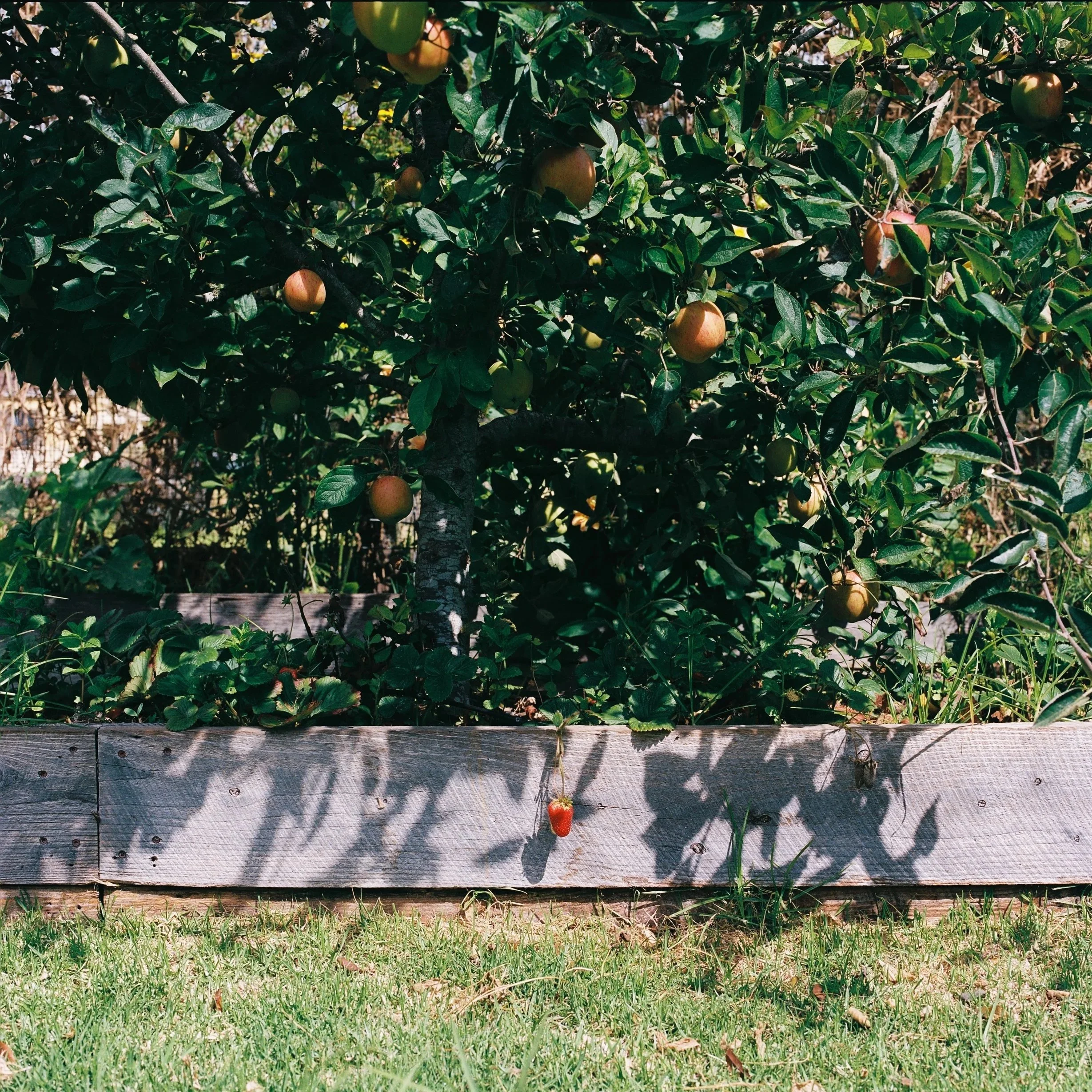 R1-02244-0003.jpg