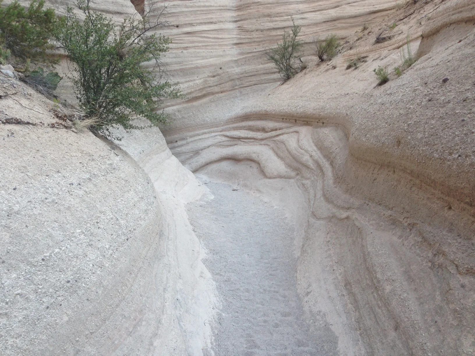  New Mexico, 2016 