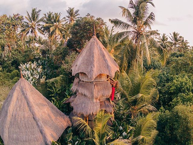Trying to not crash my drone in Bali again and hii from the firefly treehouse 🌴
.
.
.
.
.
.
#bali #treehouse #ubud #balilife #balibible #aroundtheworld #lensbible #passionpassport #visualsofearth #travelstoke #portraiture #theimaged #worldcaptures #
