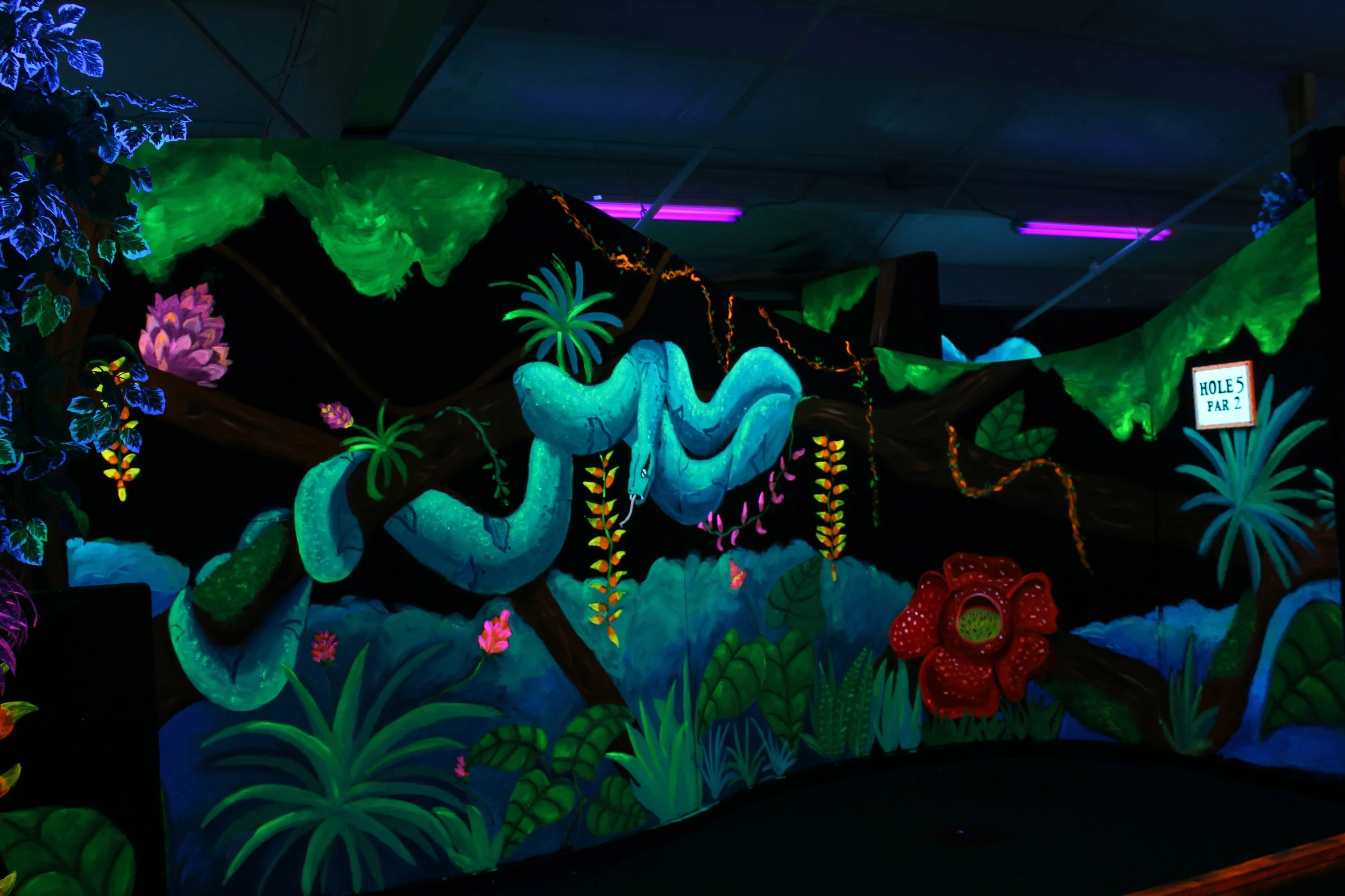 Black Light Mini Golf Course