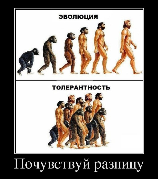 Evolution. Tolerance. Feel the difference.