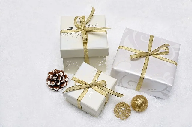 christmas-gift-3019973_640.jpg
