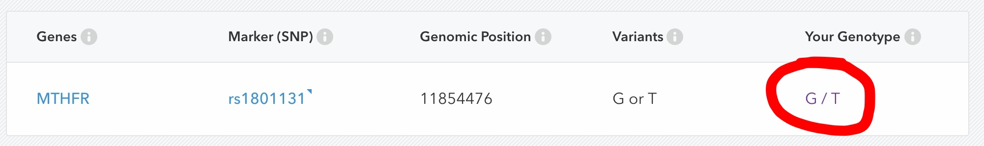 23andme MTHFR gene