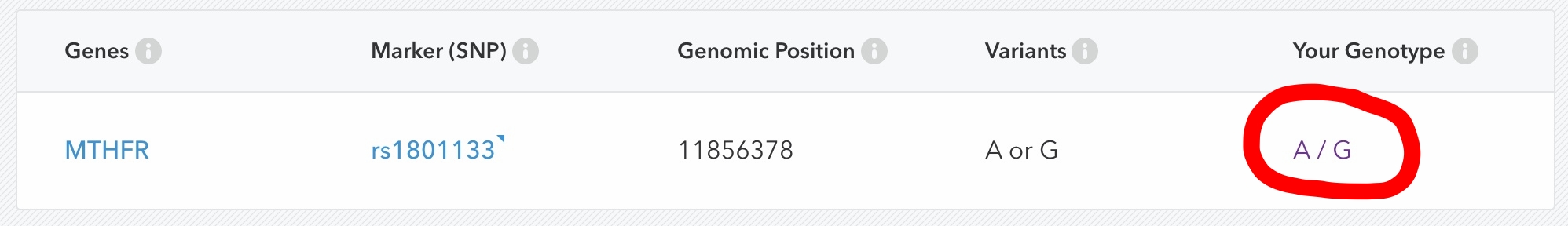 23andme MTHFR gene