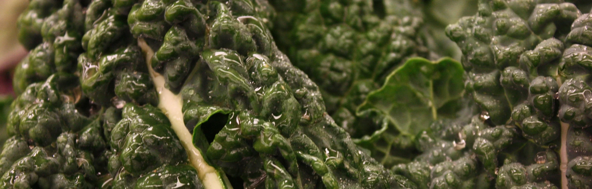 kale nutrition