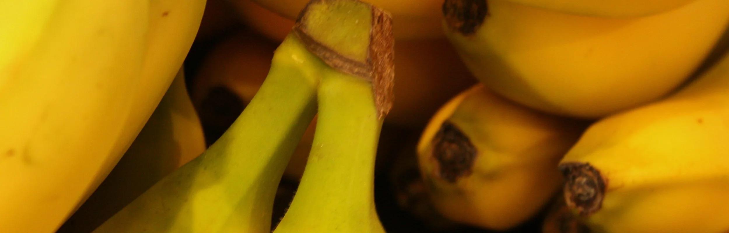 Banana nutrition