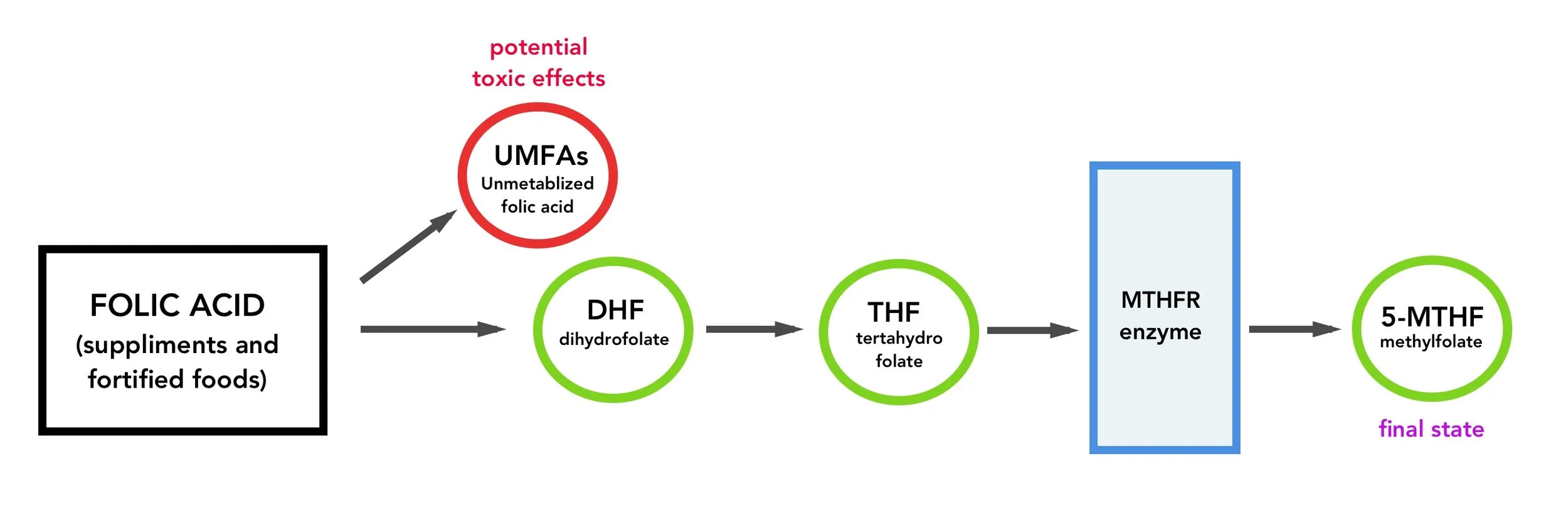 UMFAs folic acid pathway