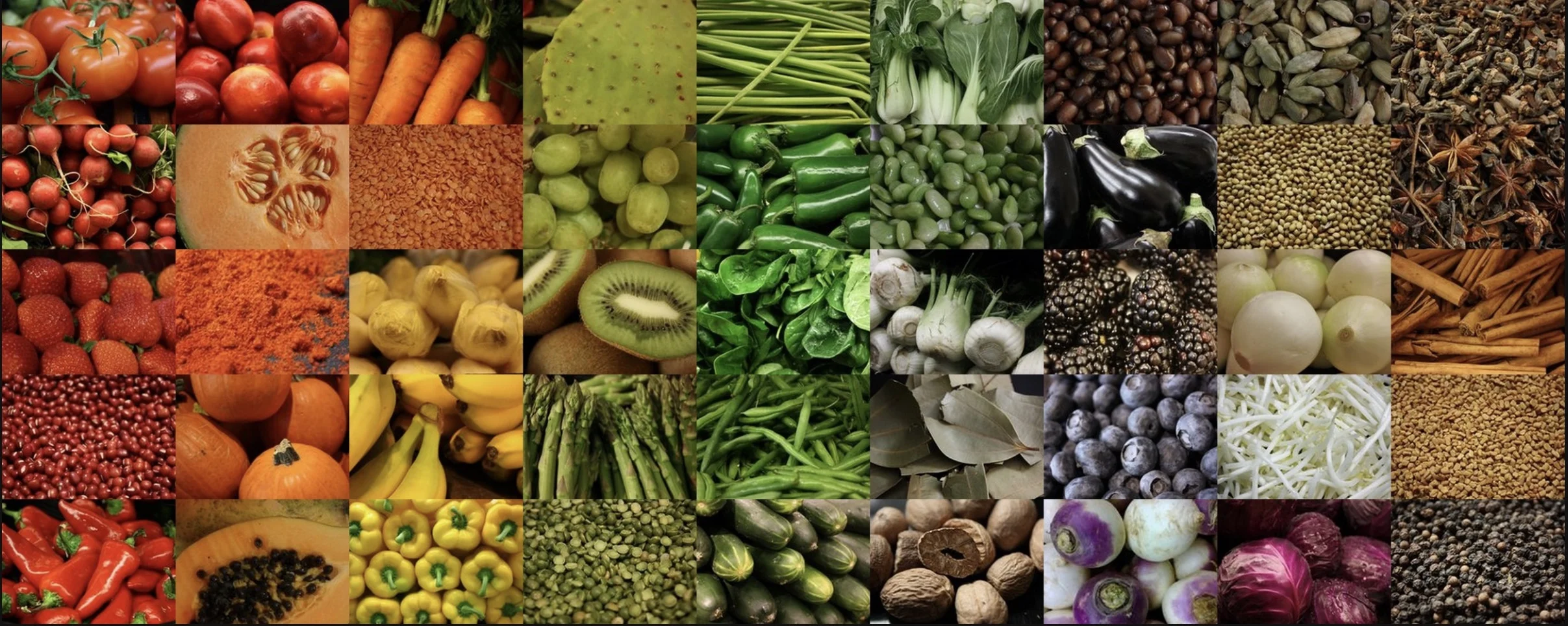 foods.jpeg