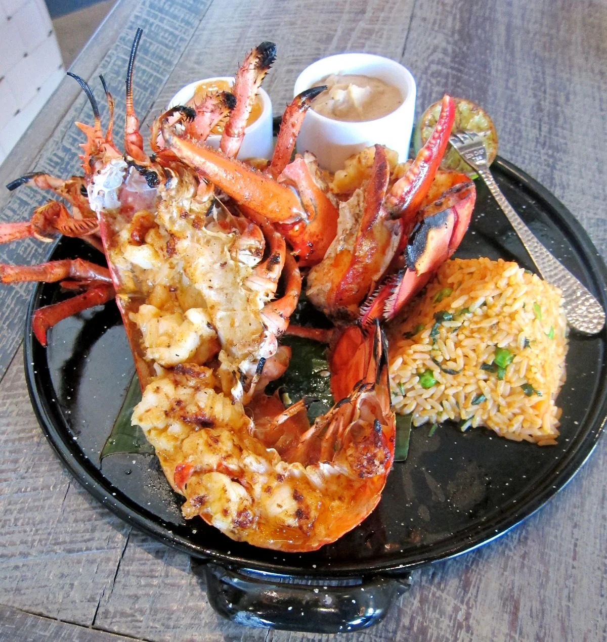 Photo: Paula Murphy (The Buzz Magazines)