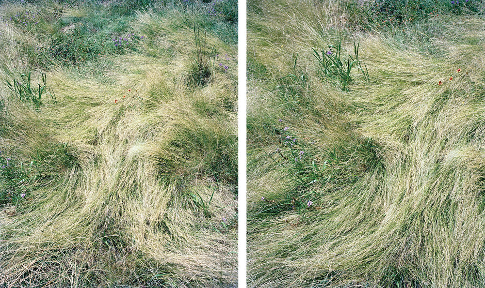 Figs from Thistles , no. 13 (2013), shown in part at Fotofest and Houston Center for Photography in 2013/14 as part of Moving/Still , curated by Kerry Inman.