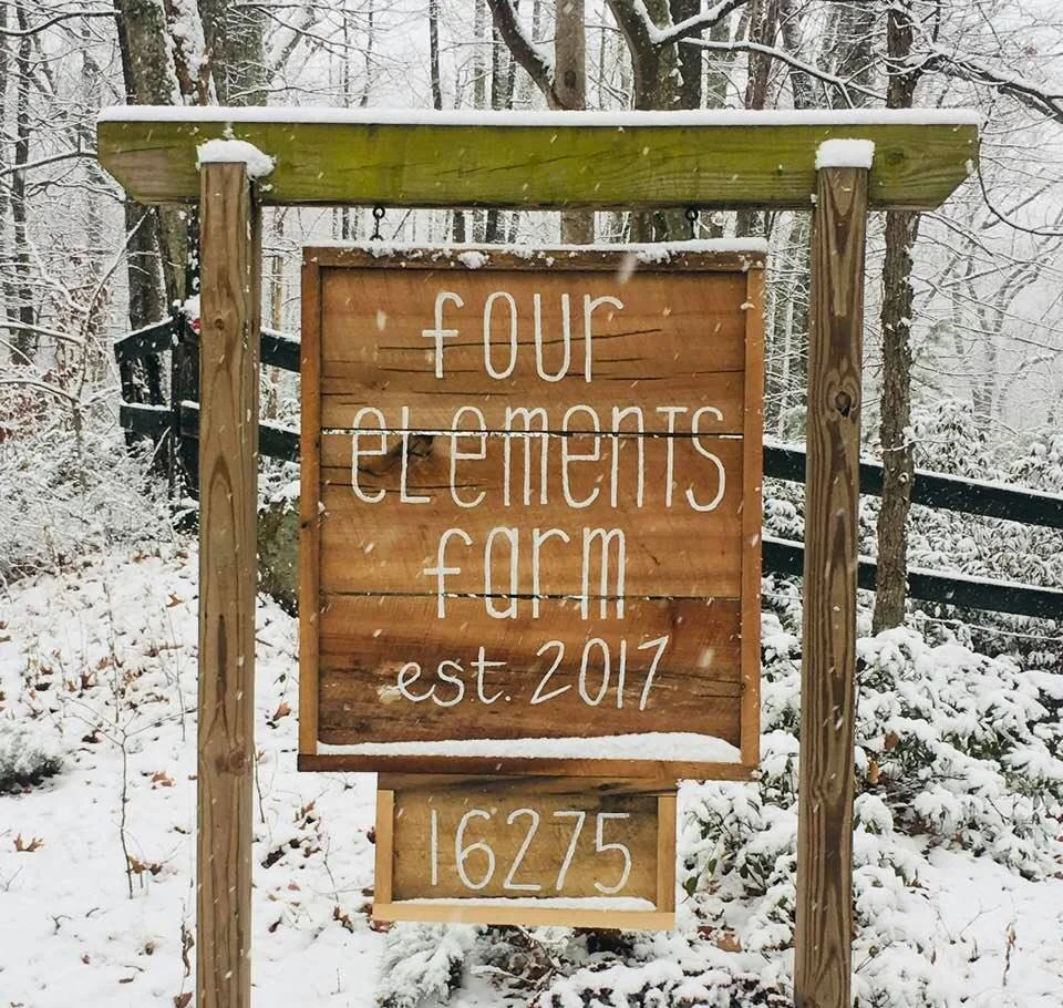 first snow at four elements.jpg