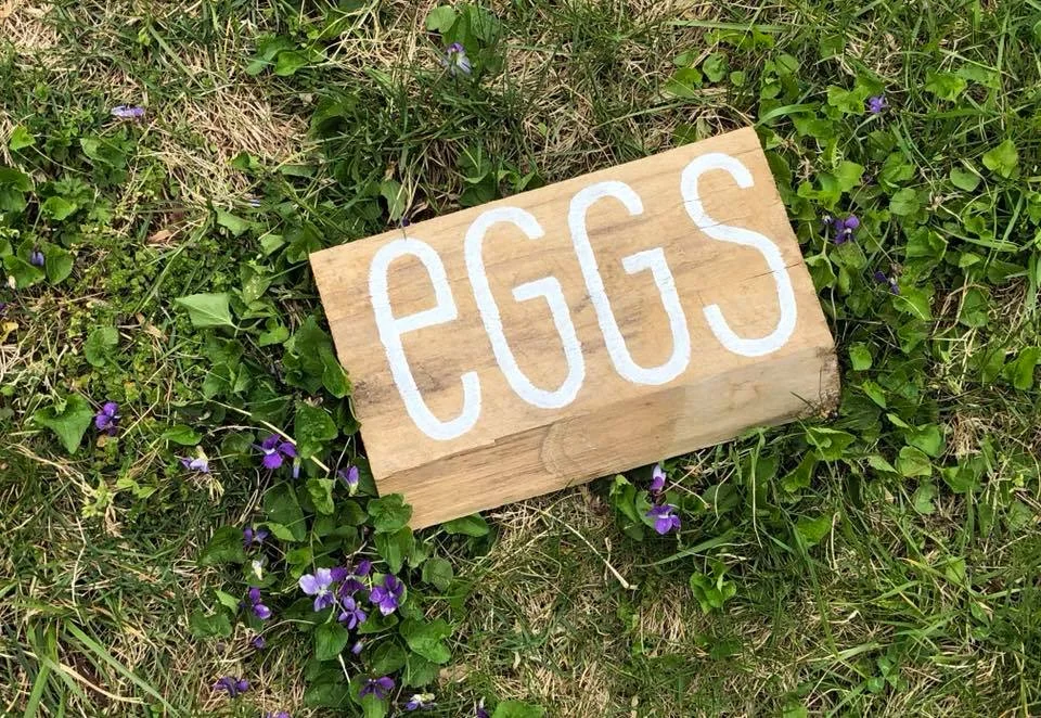 eggs signs.jpg