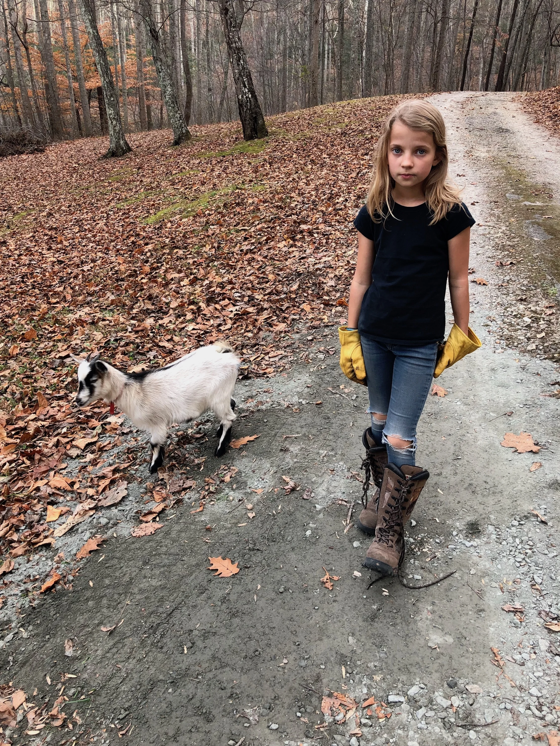 Hyler and thistle.jpeg