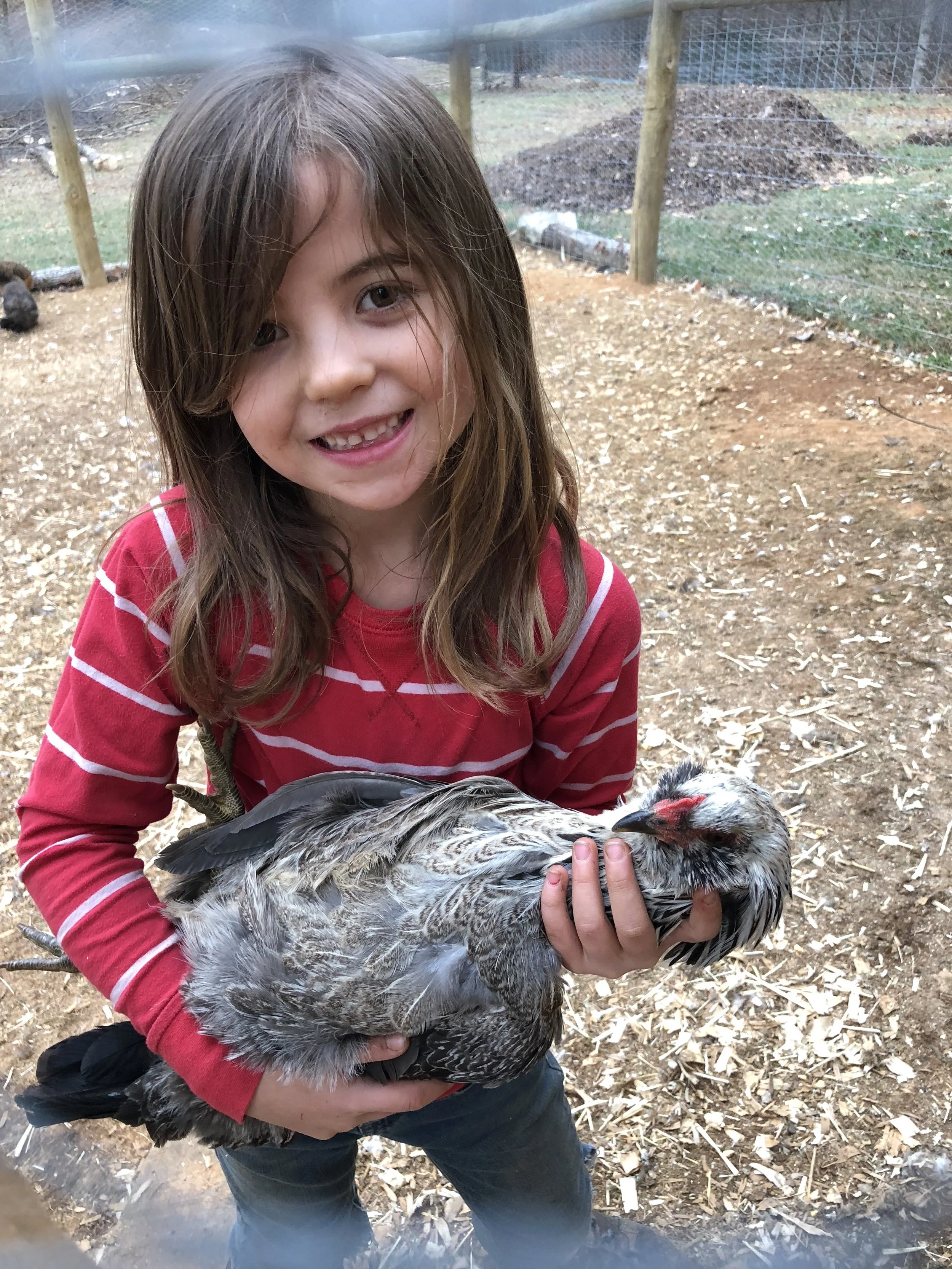 lyra and chicken .jpeg