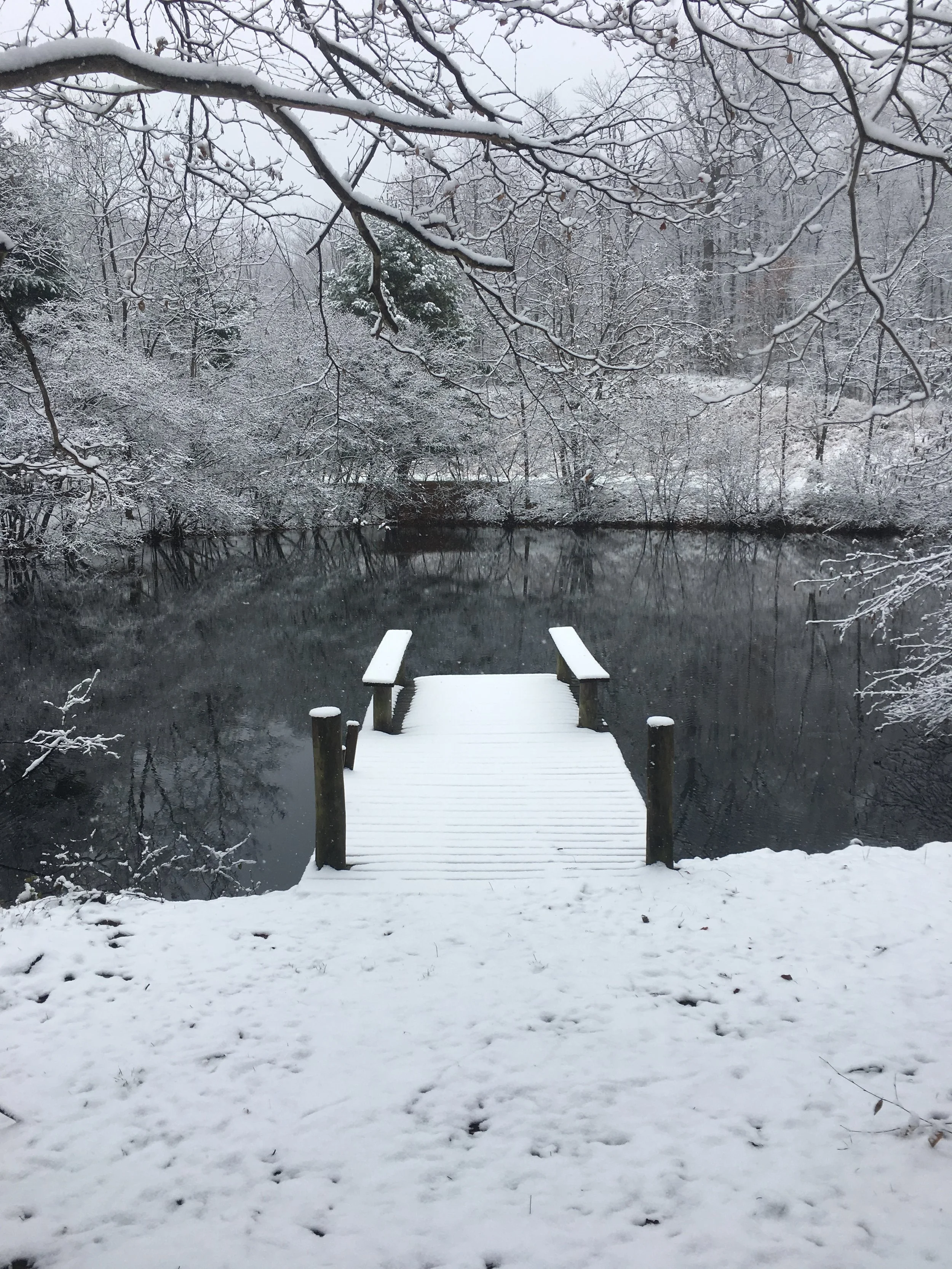 snowy pond.JPG