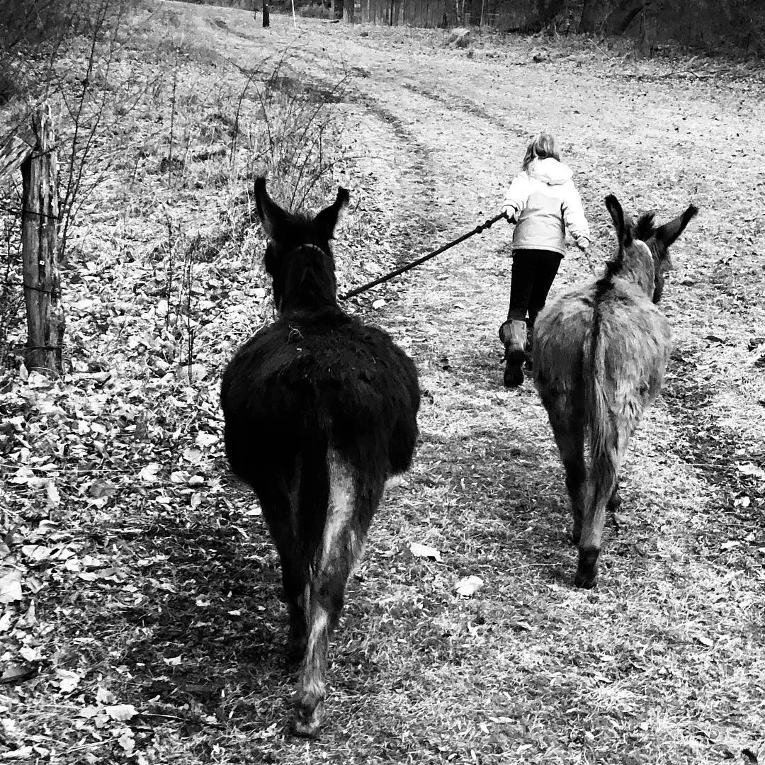 Poncho lefty and hyler .jpg