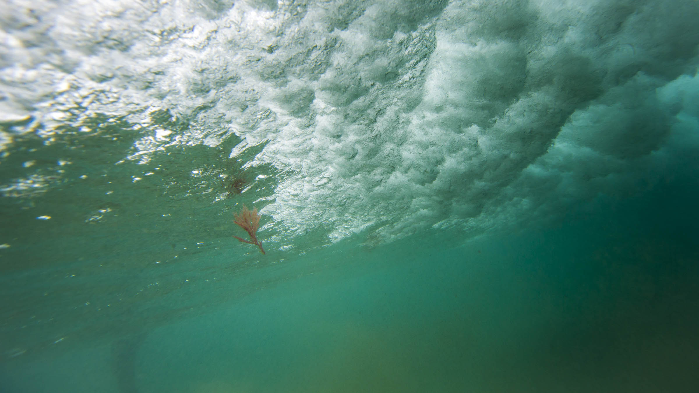 surftraxs#justallimages-0458.jpg