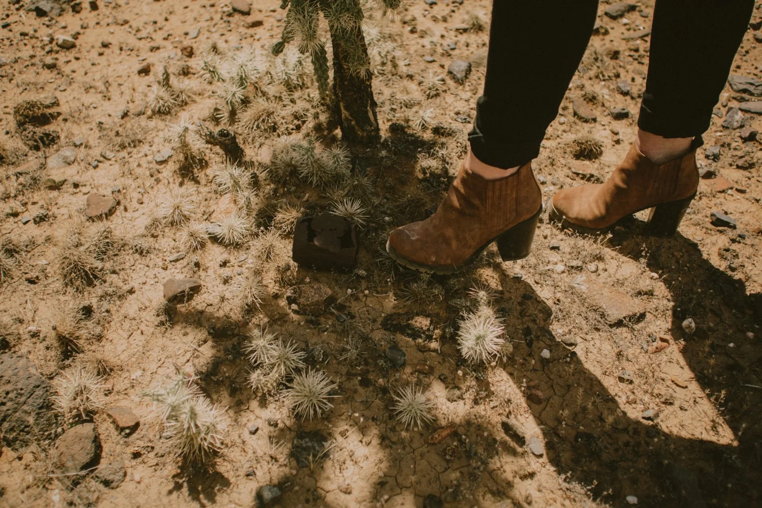 desert shoot_web-38.jpg