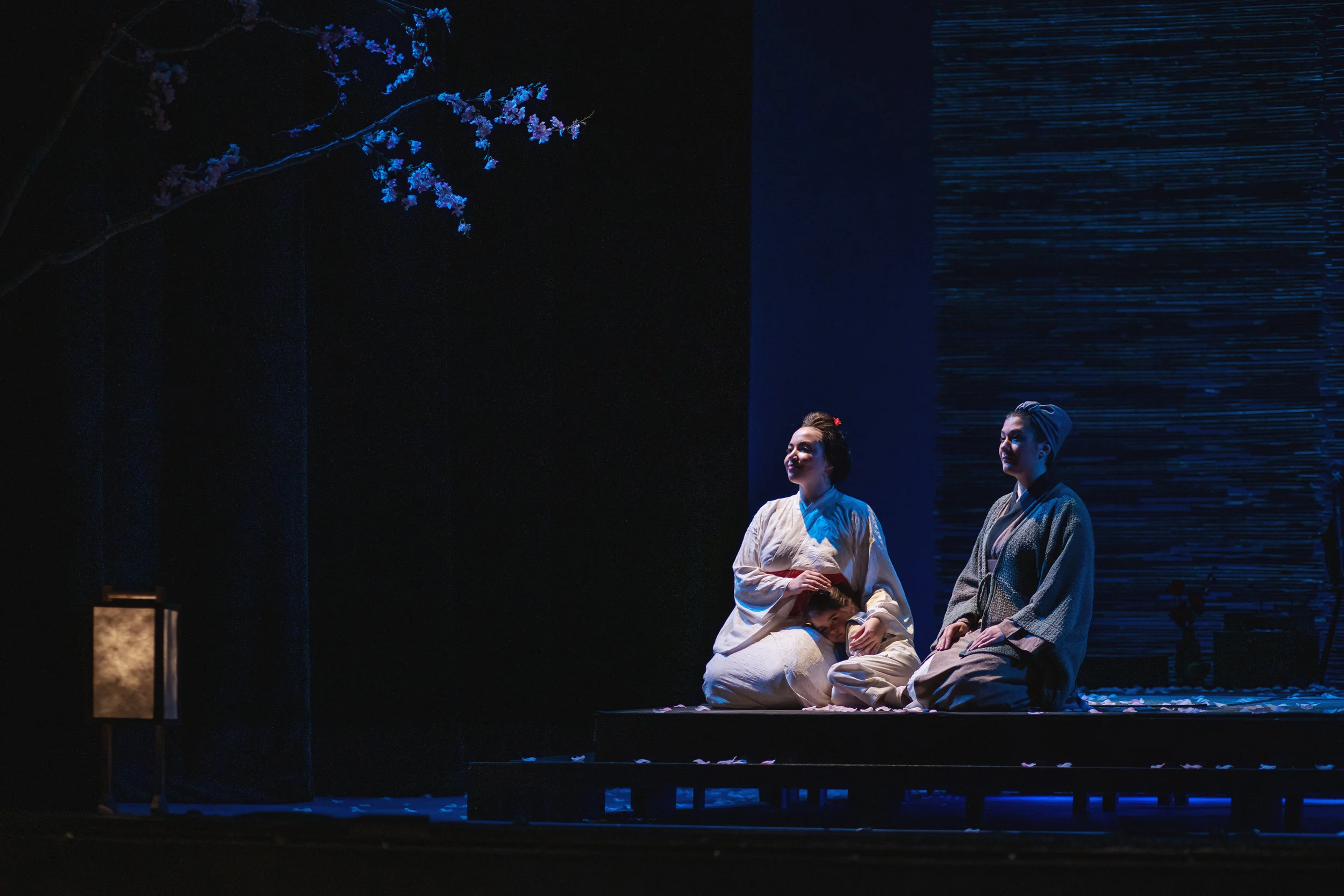 ccobutterflyfinaldress_0246.jpg
