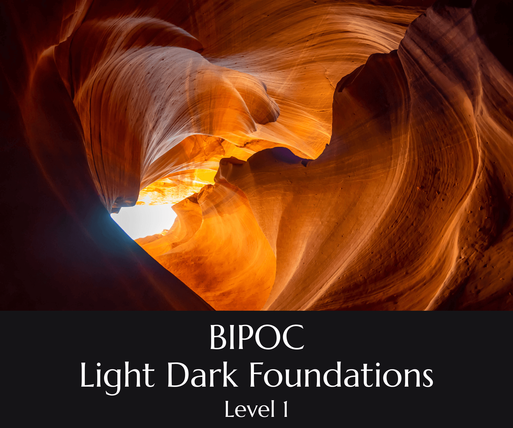 BIPOC LDF Level 1 (1) 2.png