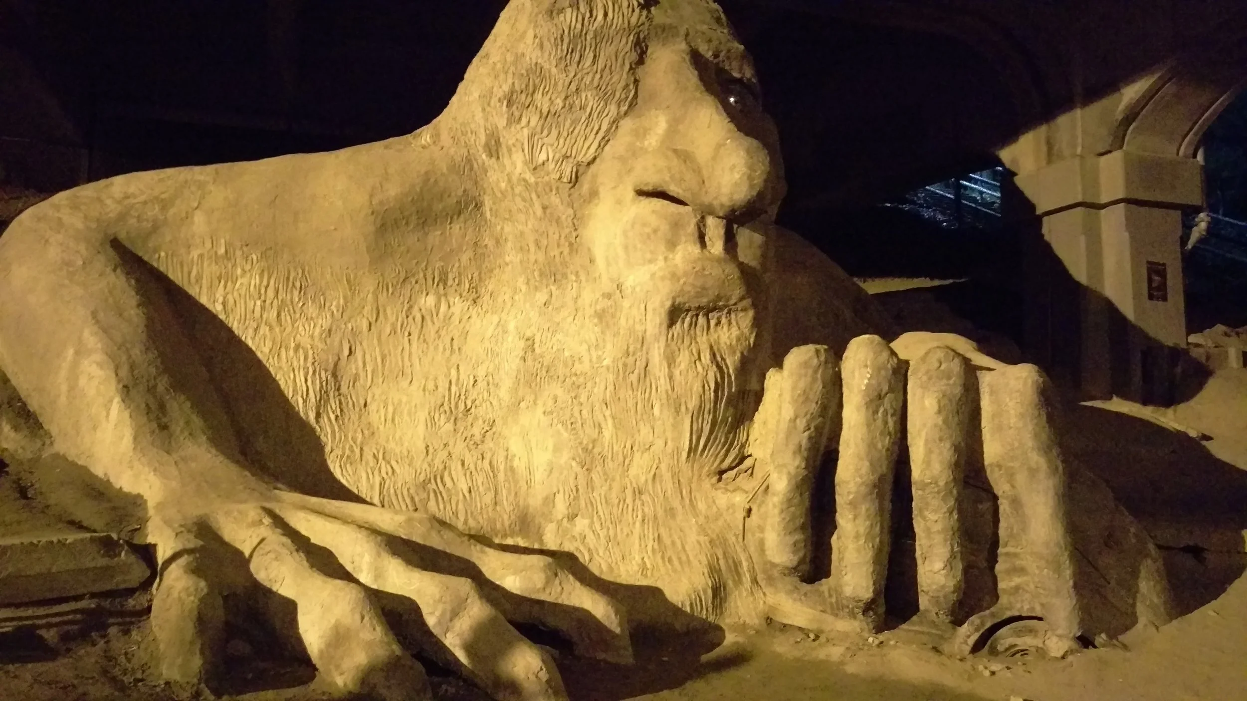 IMAG0204.jpg