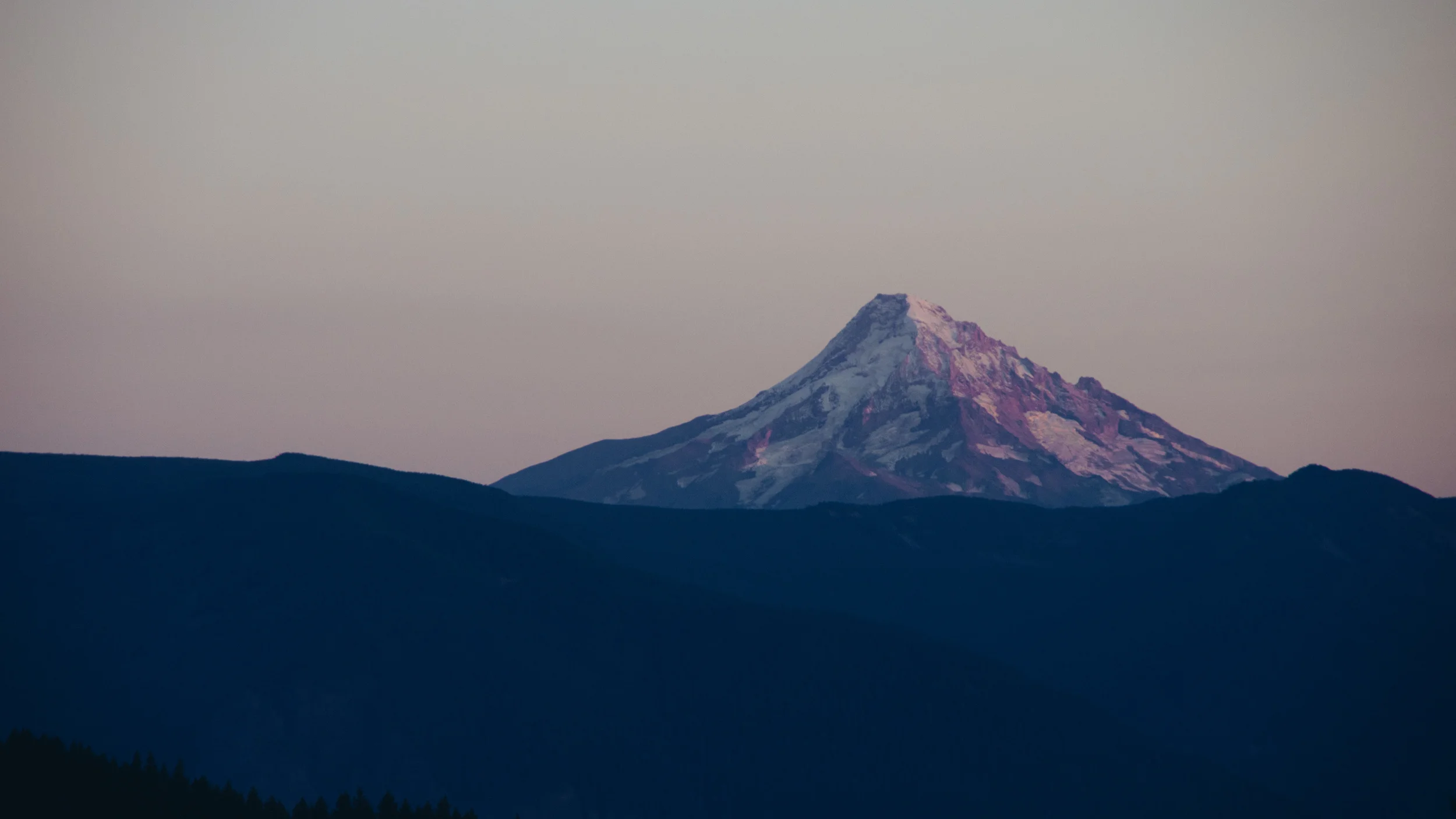 _IMG6205.jpg