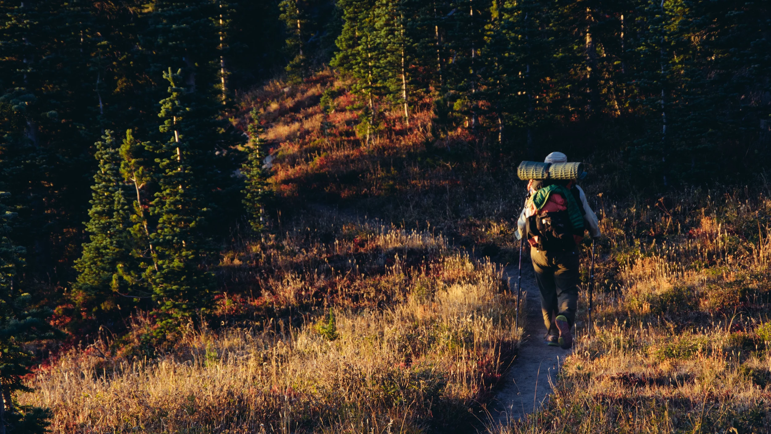_IMG6219.jpg