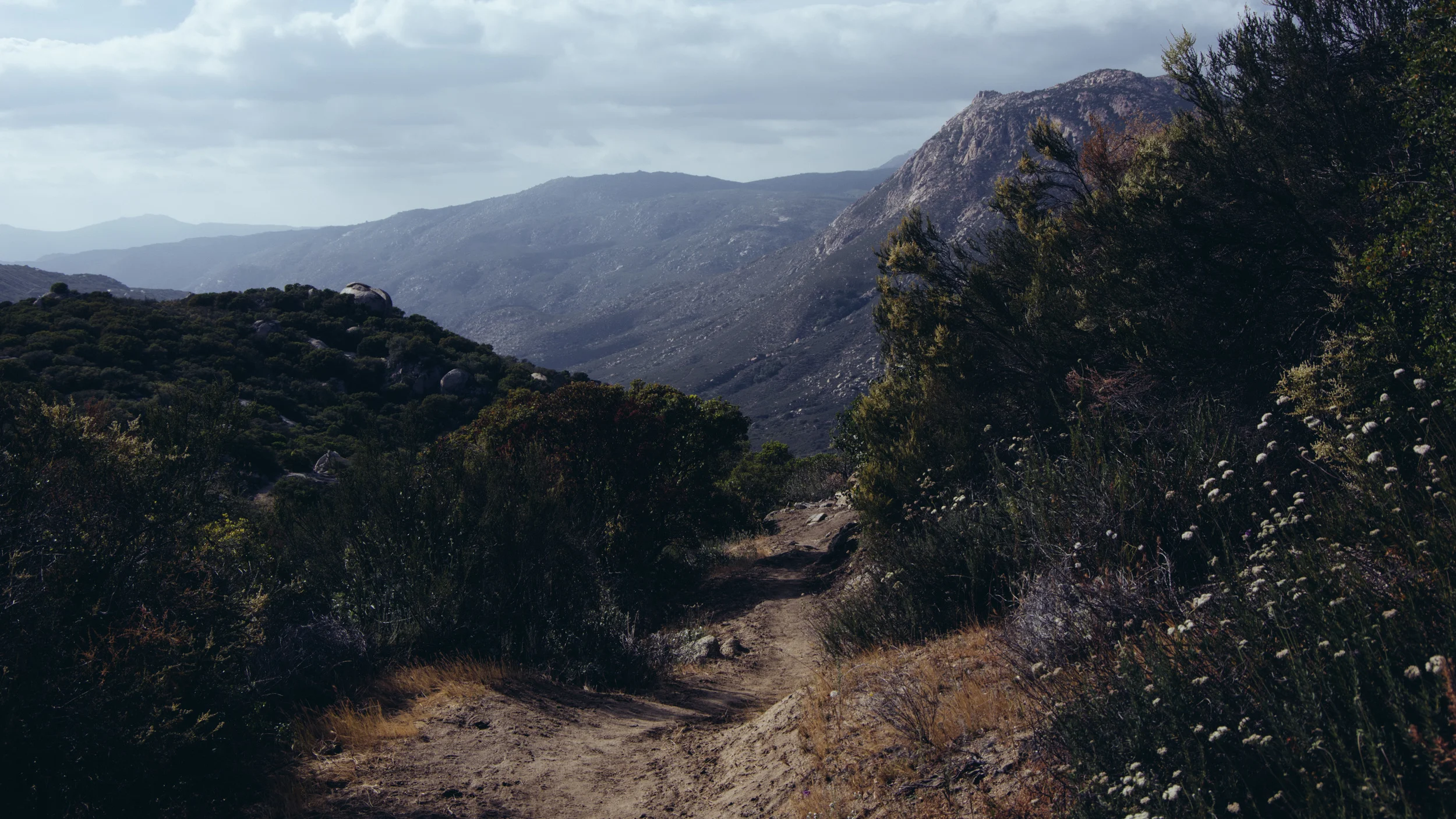 _IMG3719.jpg