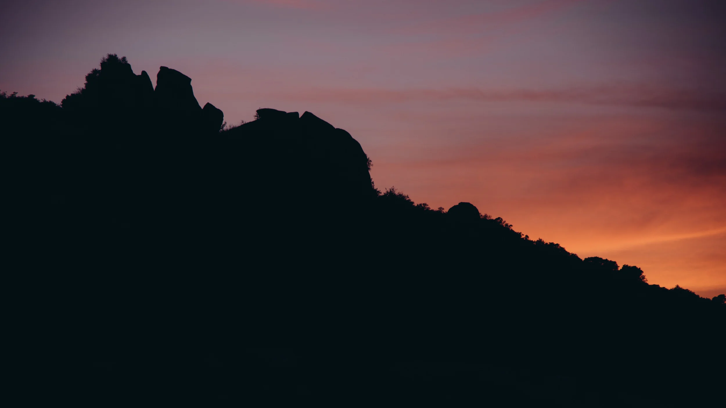 _IMG3749.jpg
