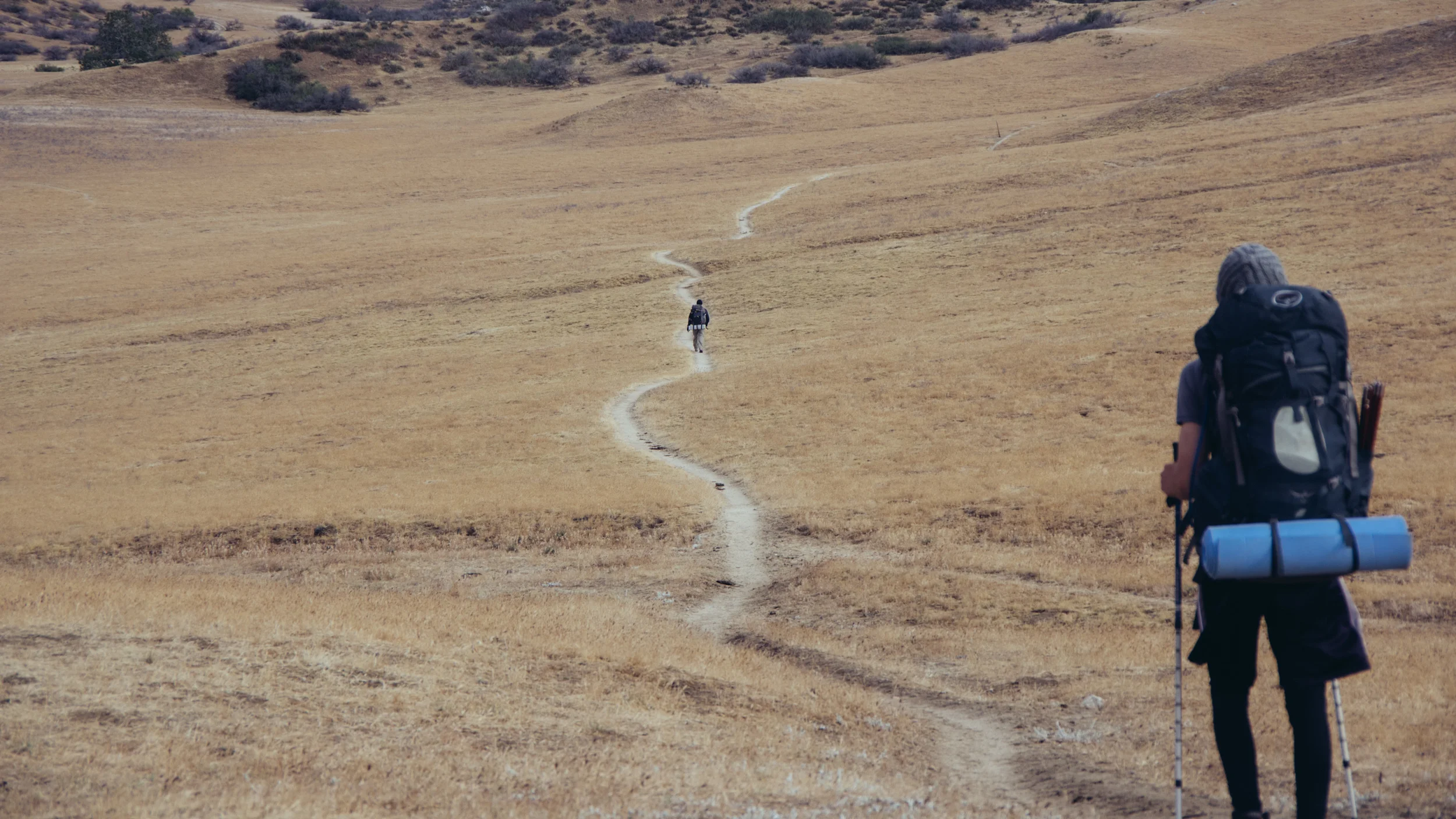 _IMG3880.jpg