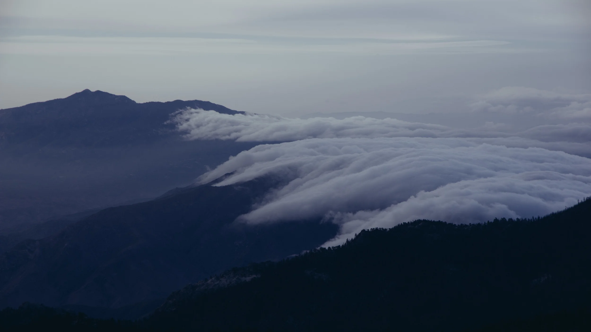 _IMG3980.jpg