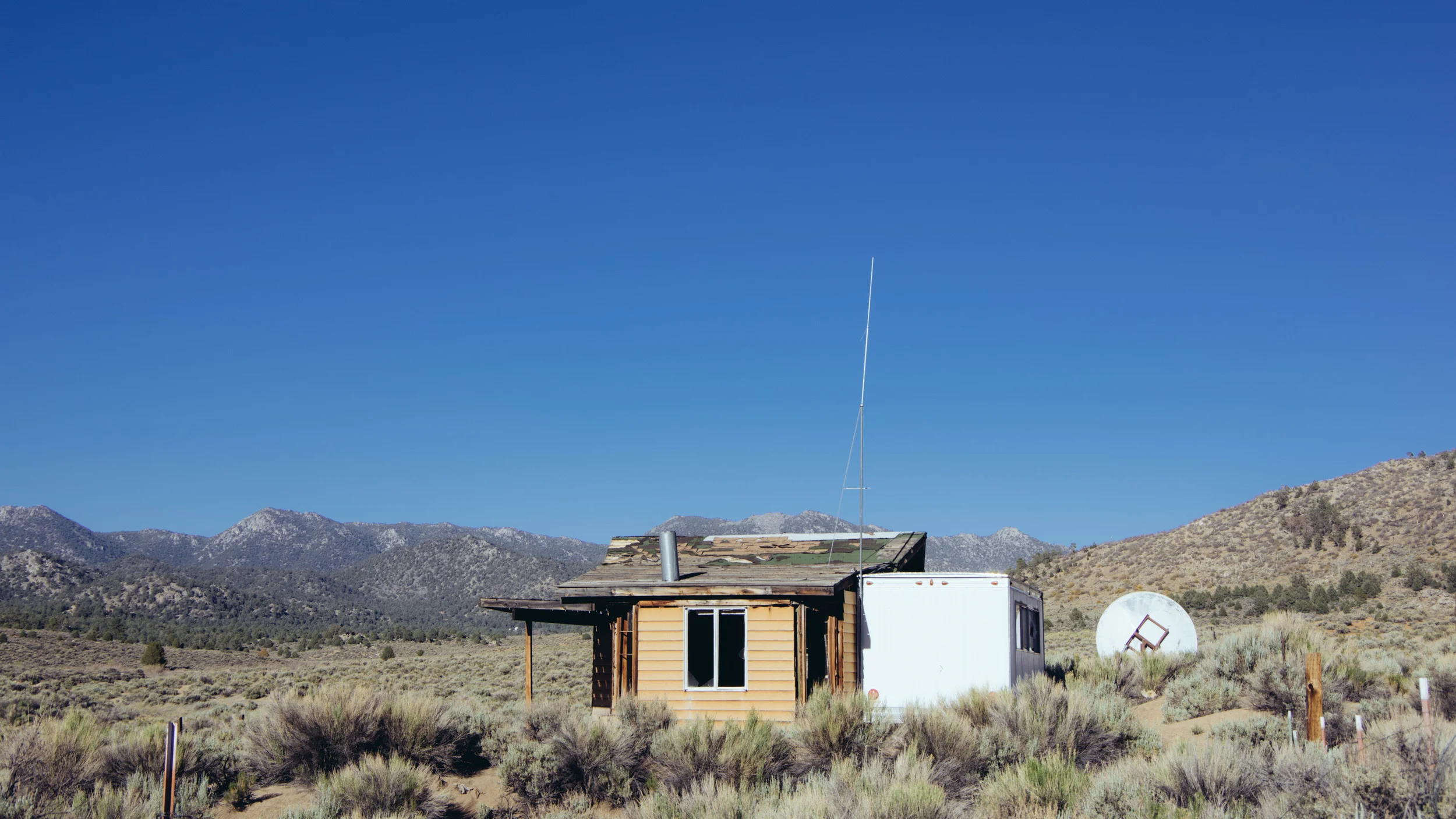 _IMG4620.jpg