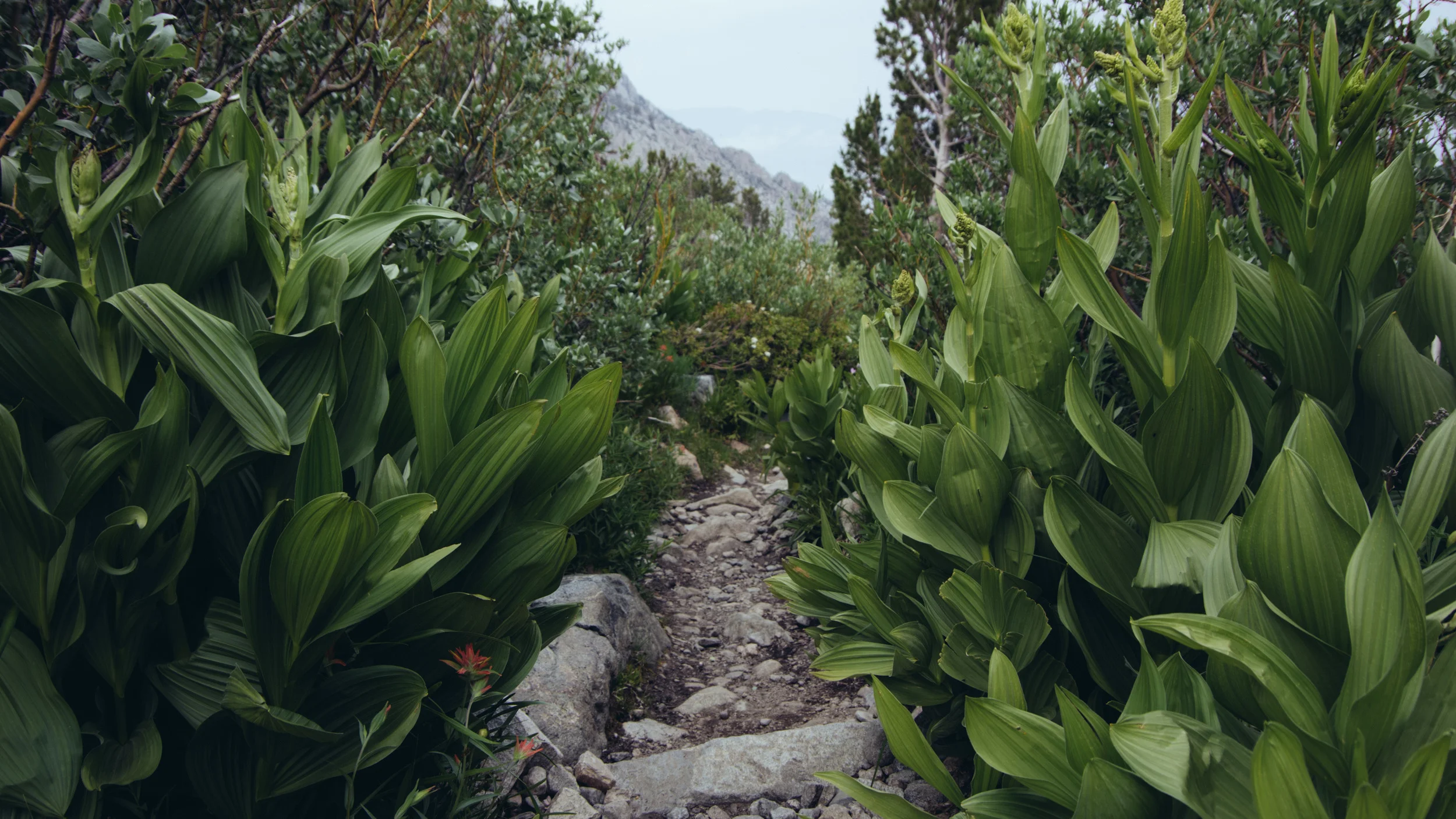 _IMG5028.jpg