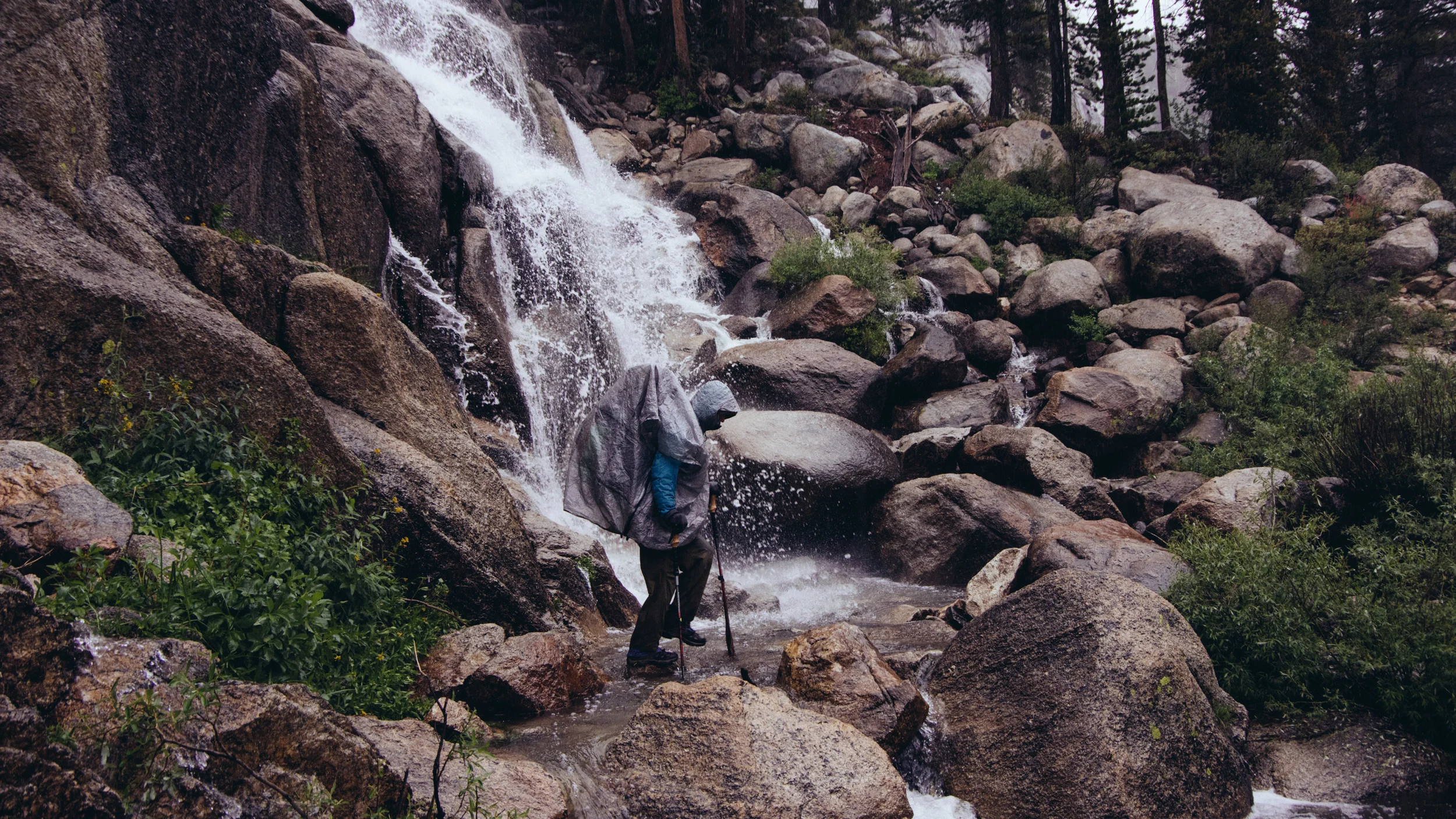 _IMG5335.jpg
