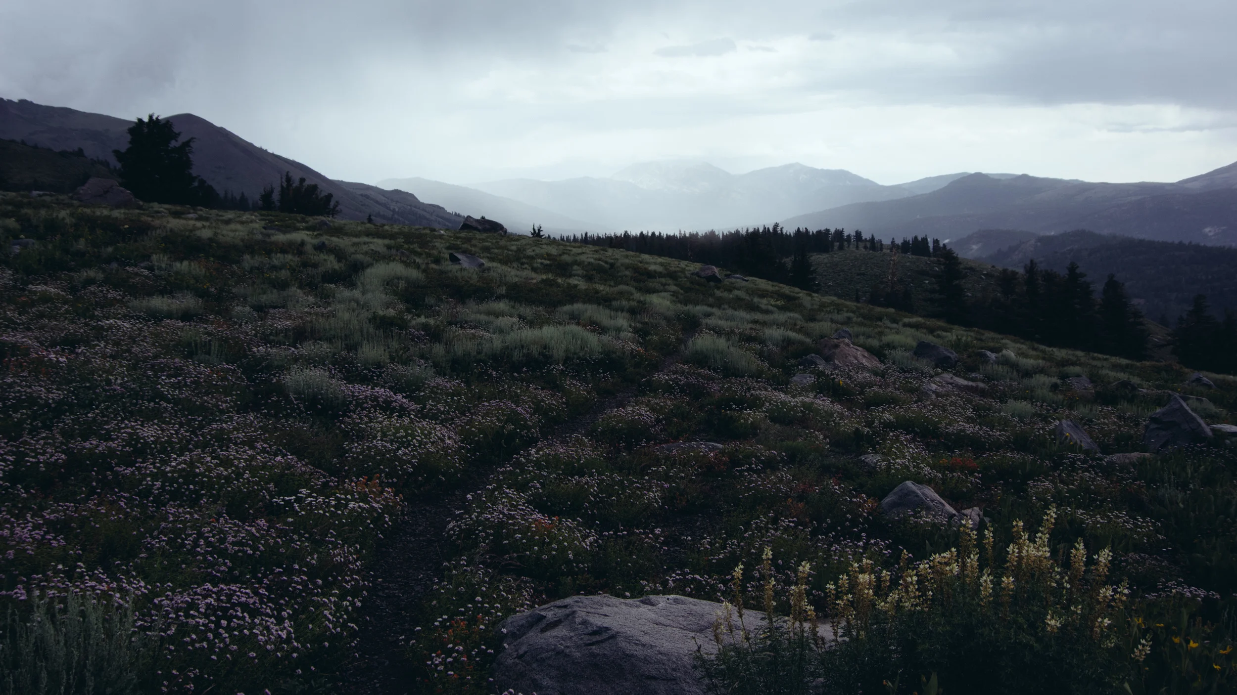 _IMG5578.jpg