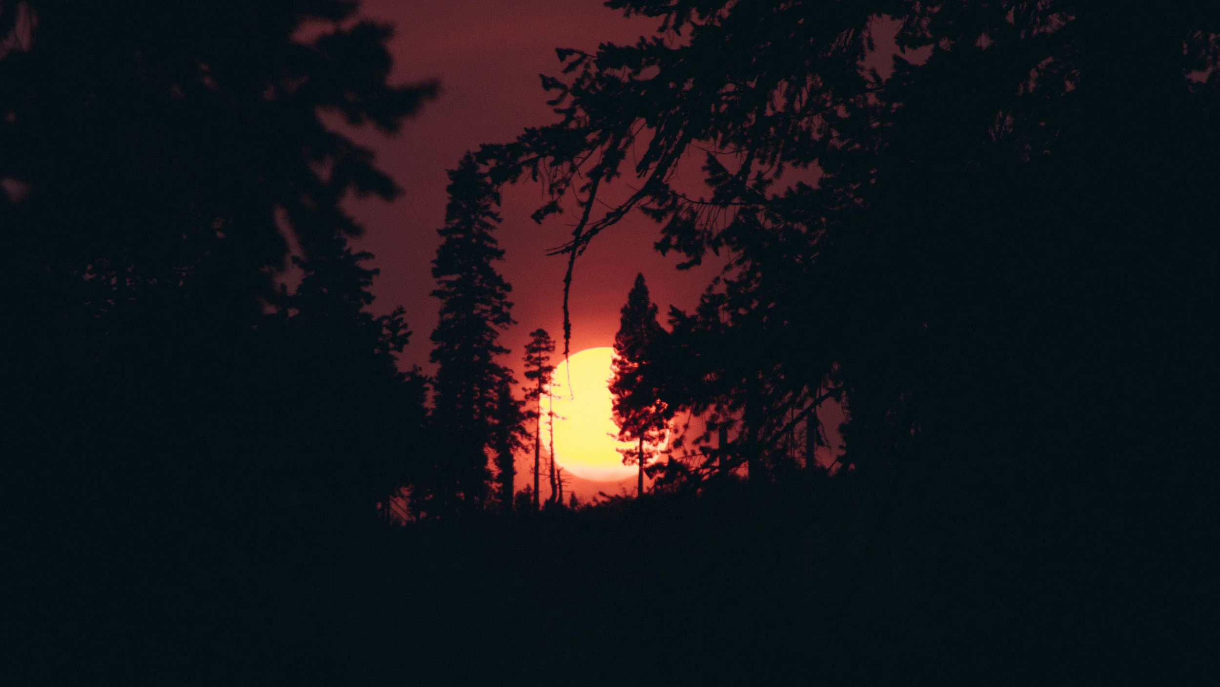 _IMG5760.jpg