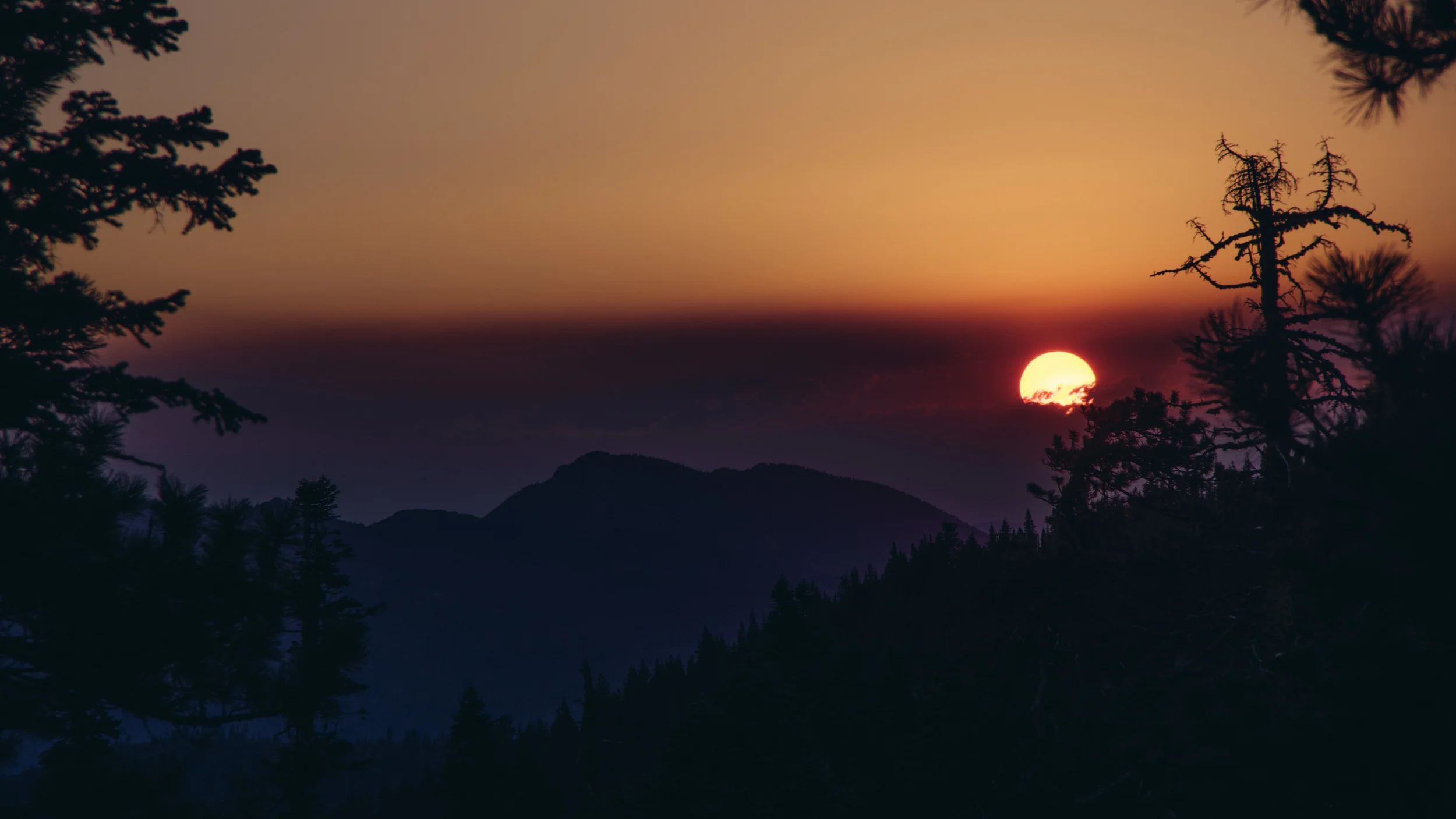 _IMG5791.jpg