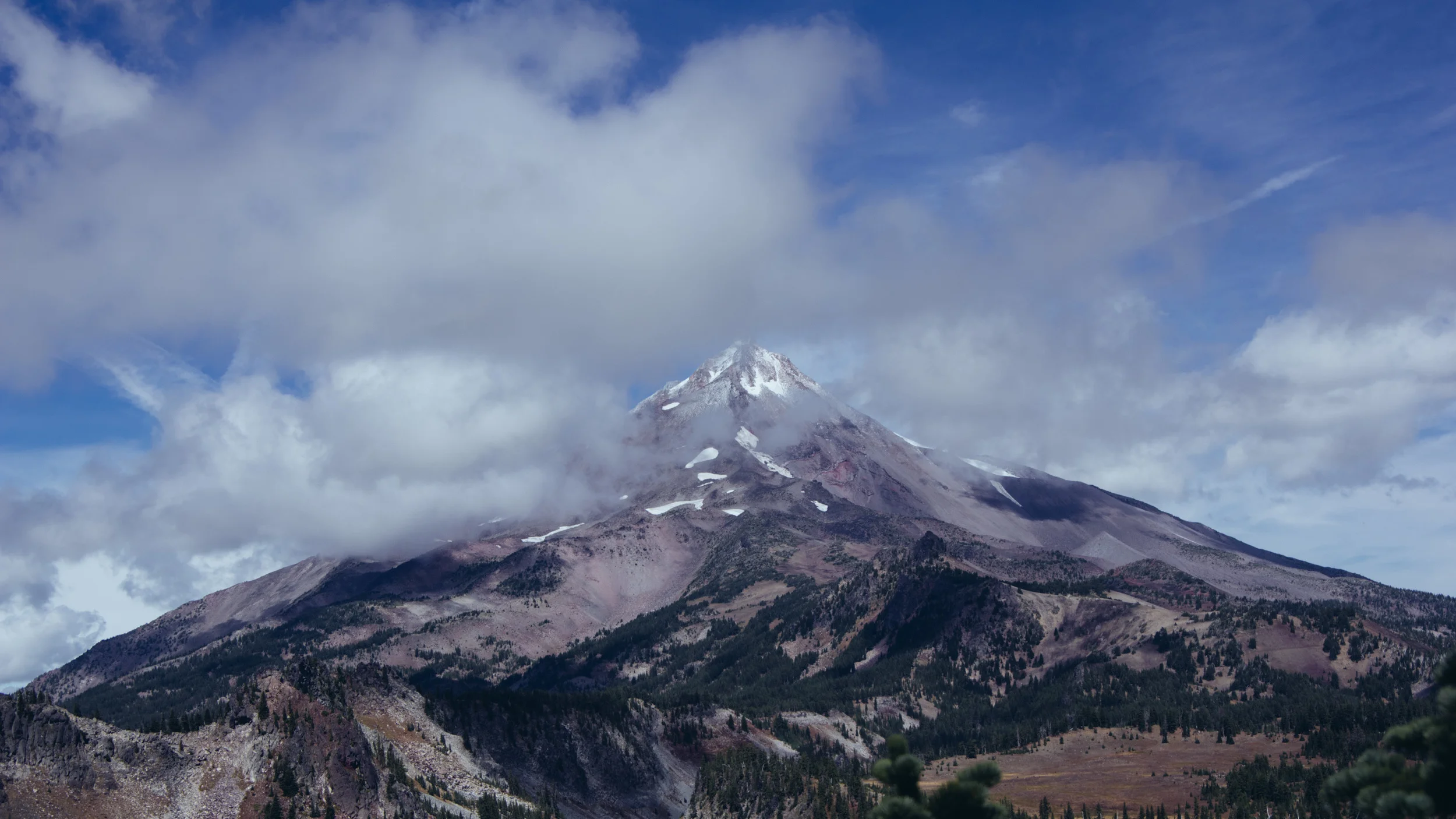 _IMG6005.jpg