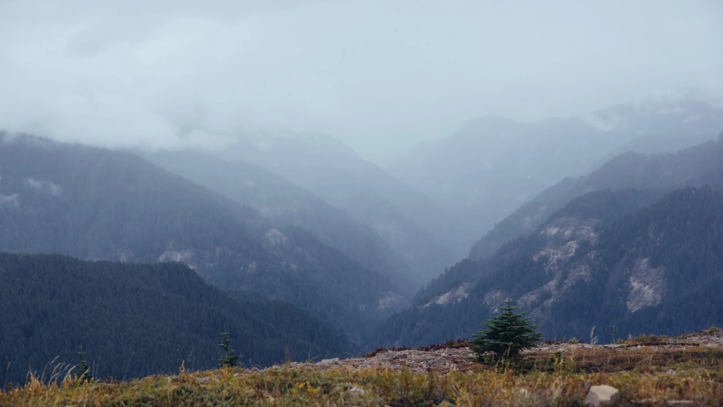 _IMG6082.jpg