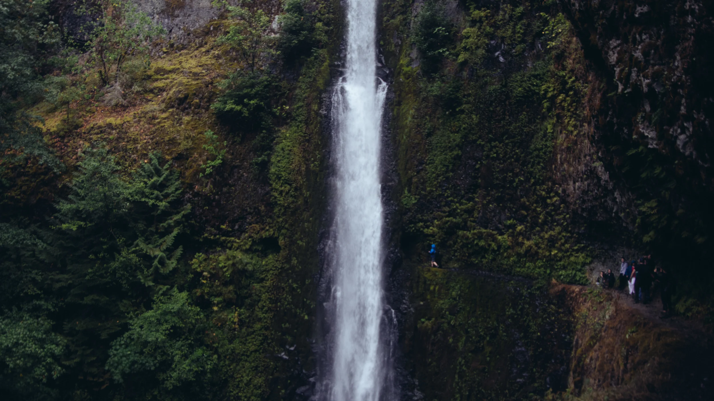 _IMG6143.jpg