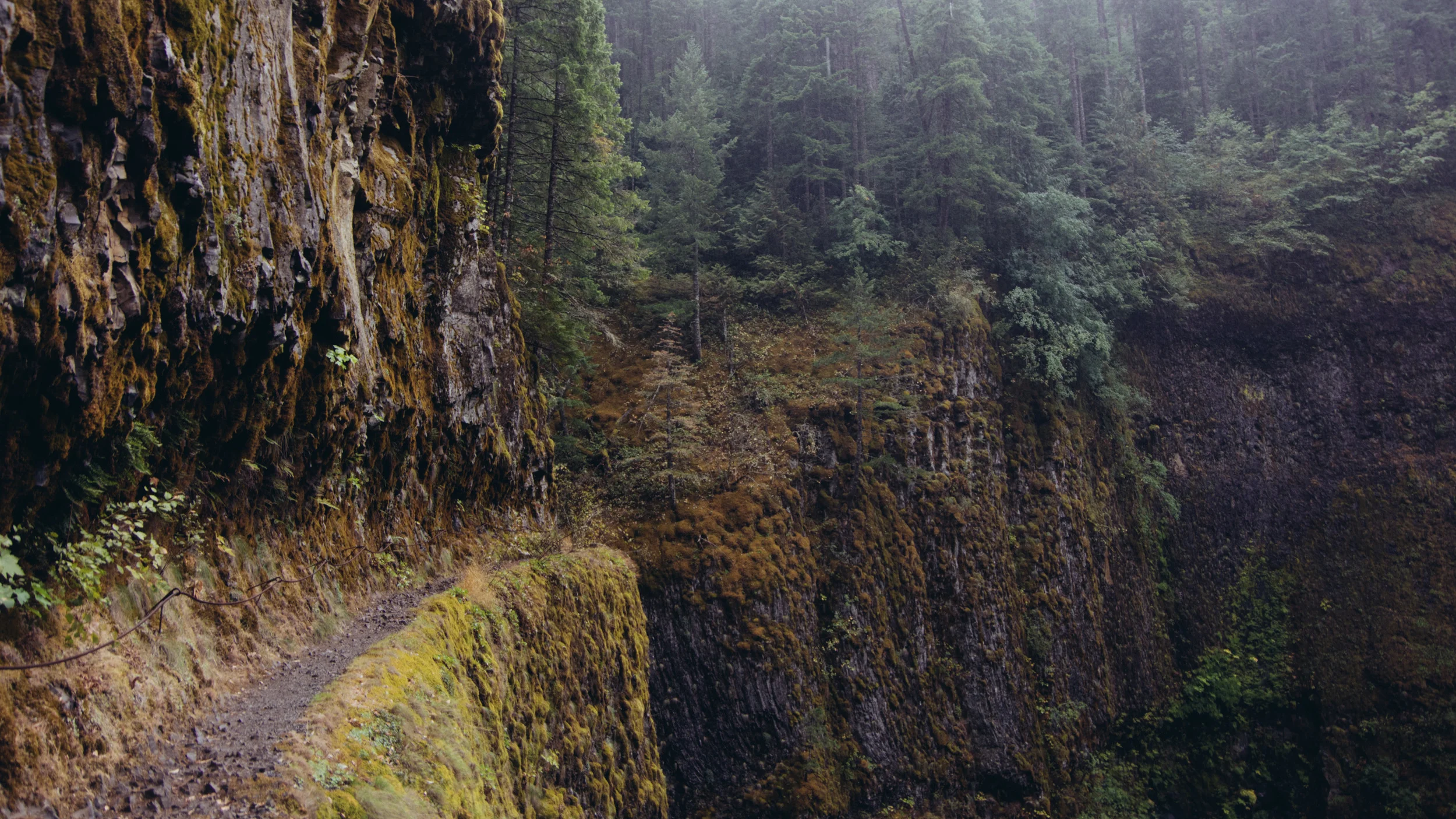 _IMG6142.jpg