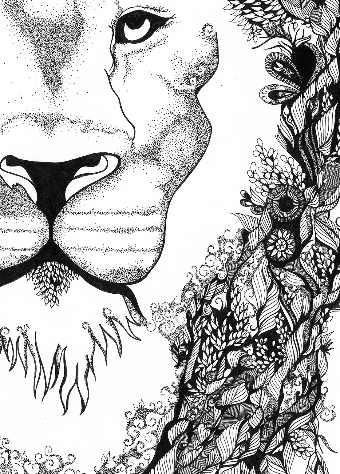 Aslan- low res.jpg