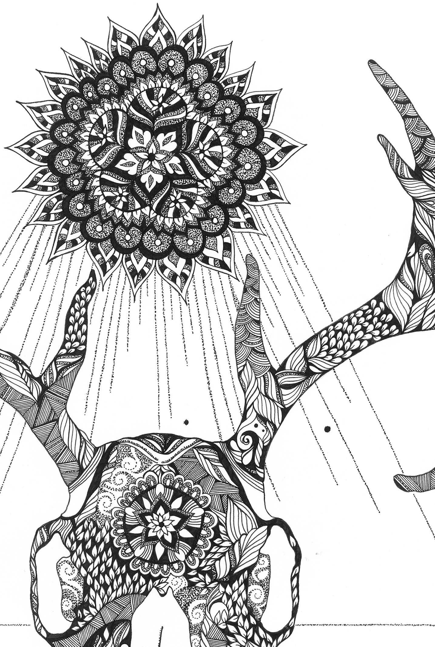 Skulls & Bones- website.jpg