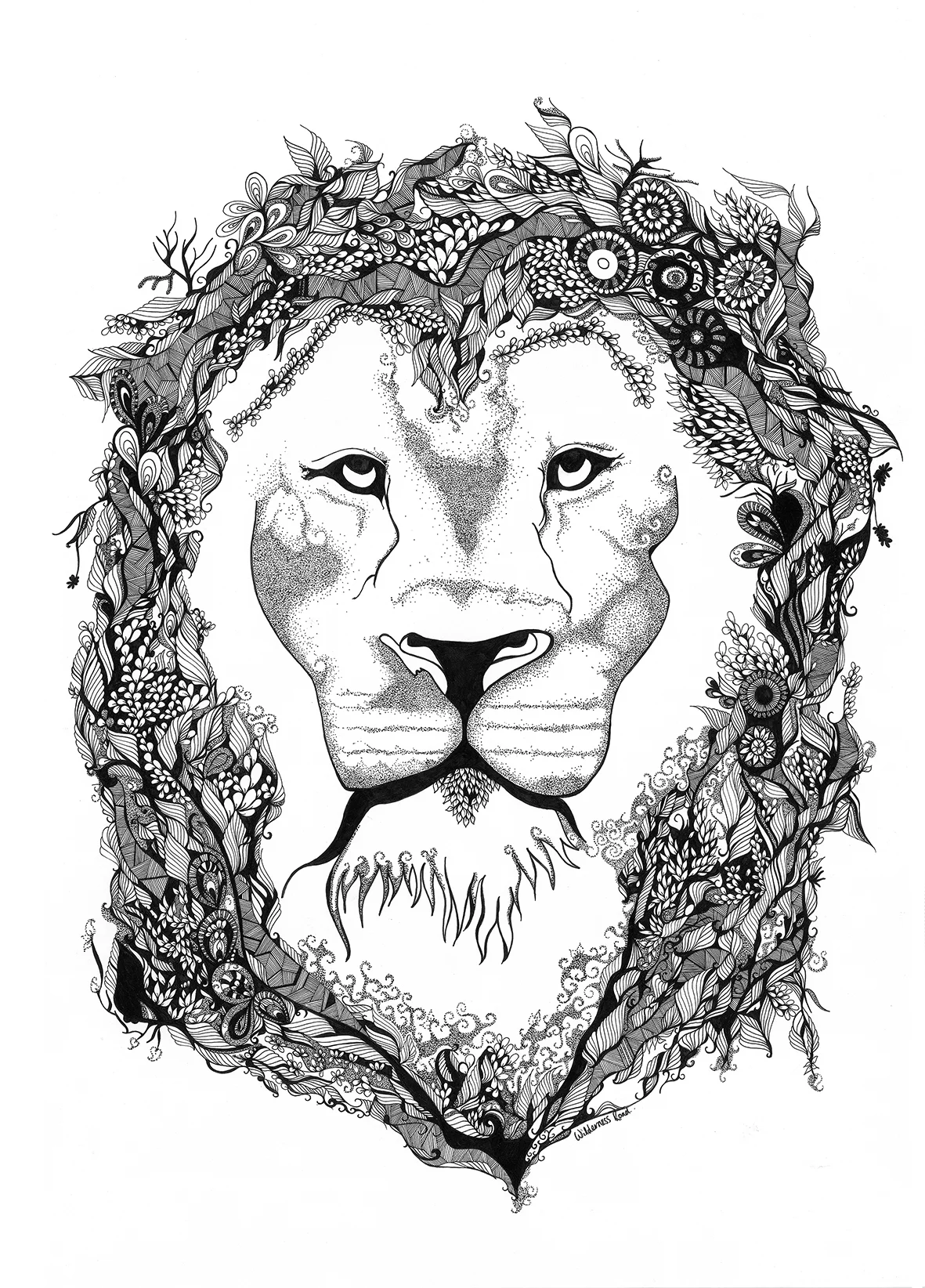 Aslan- low res.jpg