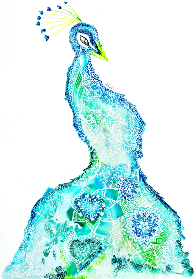 Peacock Pleasure- Low Res.jpg
