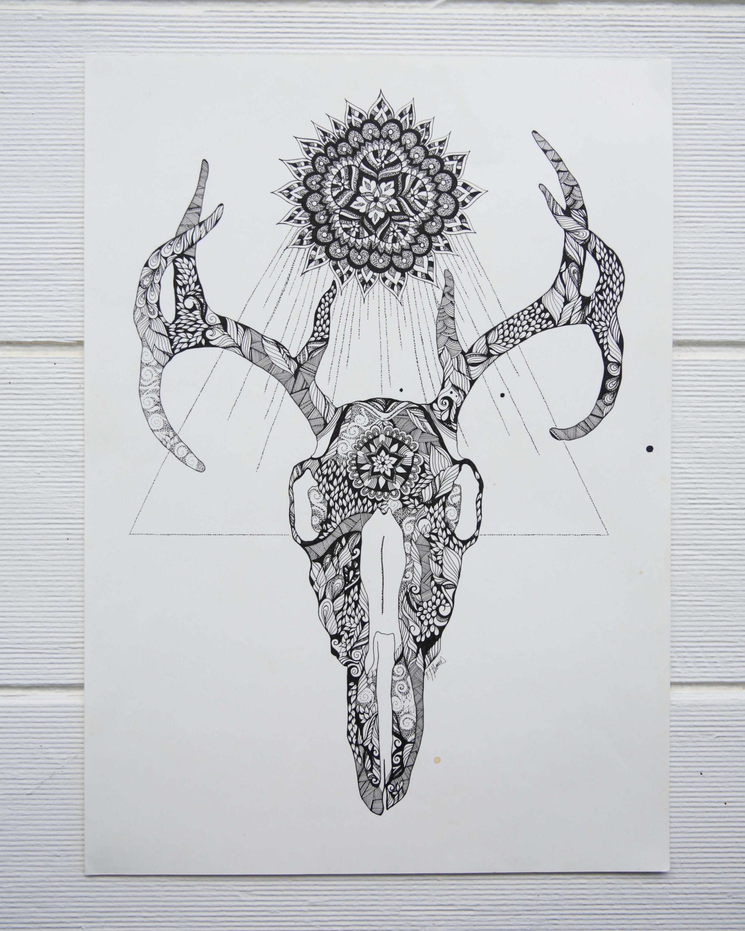 Skulls & Bones- LOW RES.jpg