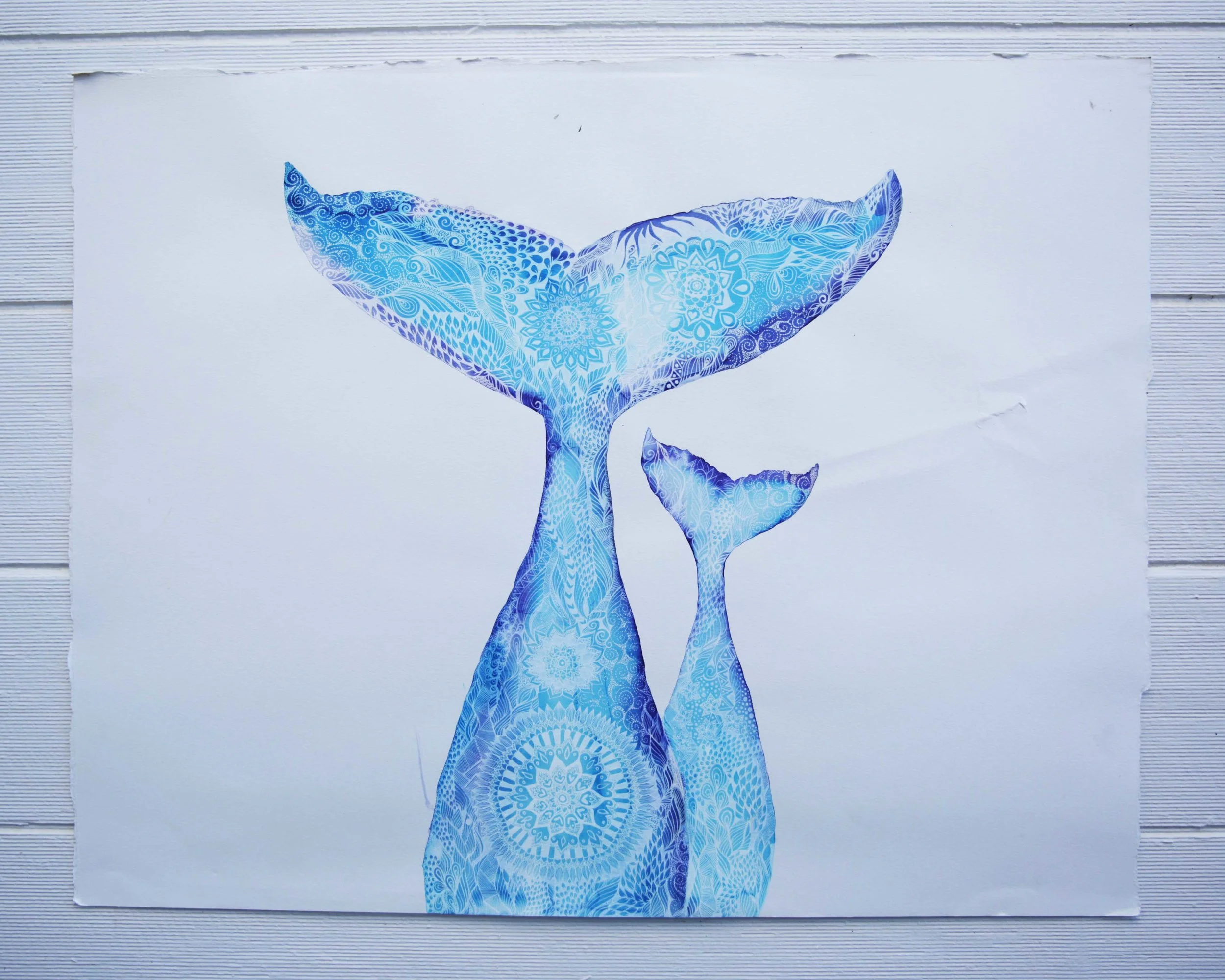 Whale Love- LOW RES.jpg