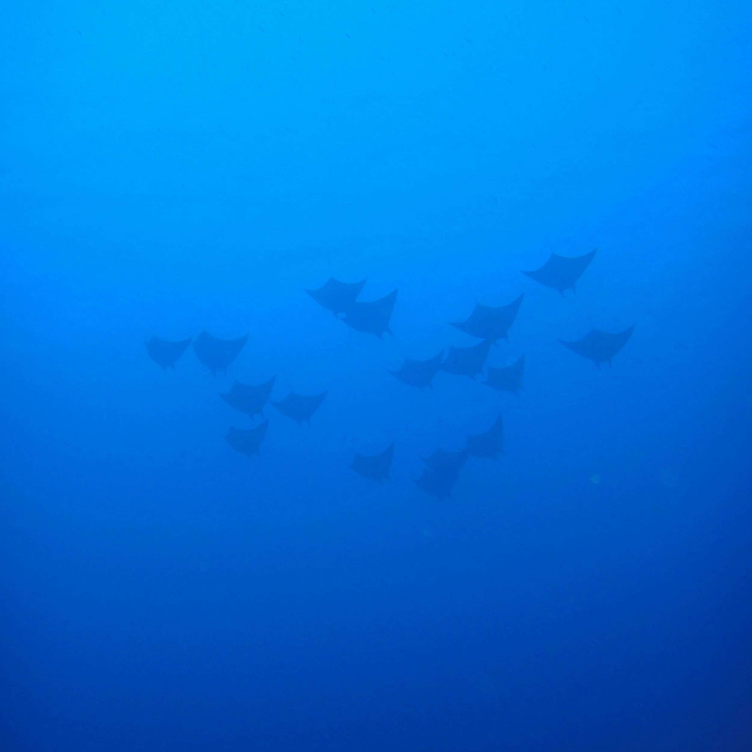 DSC00545.jpg