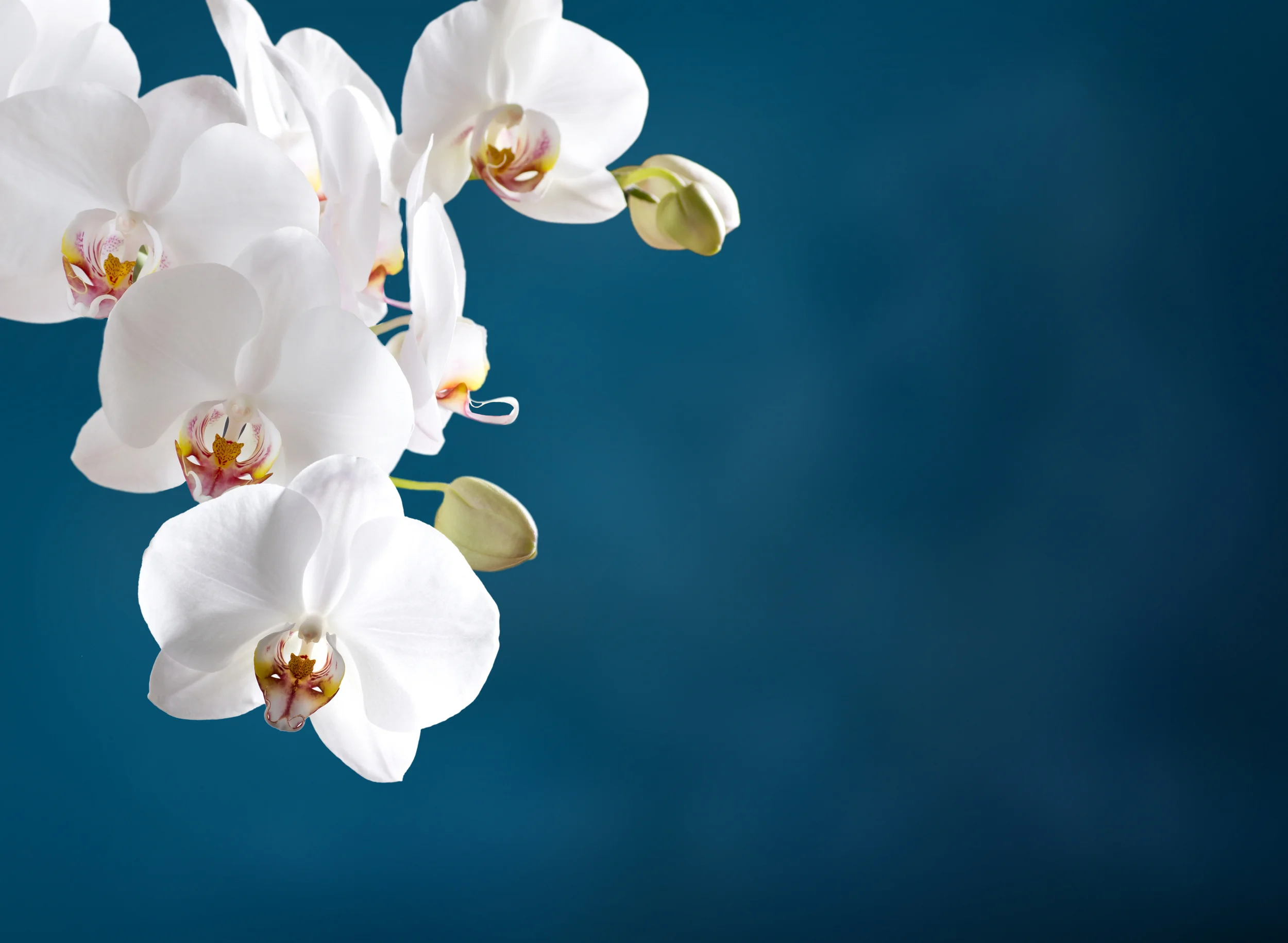 Fotolia_85630914_XL.jpg